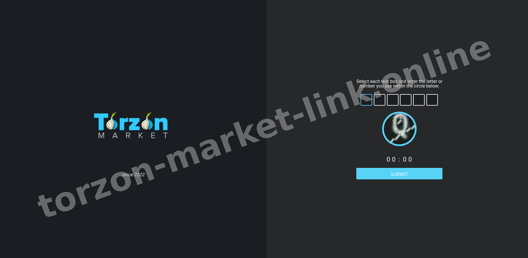 Torzon Market DDoS Protection