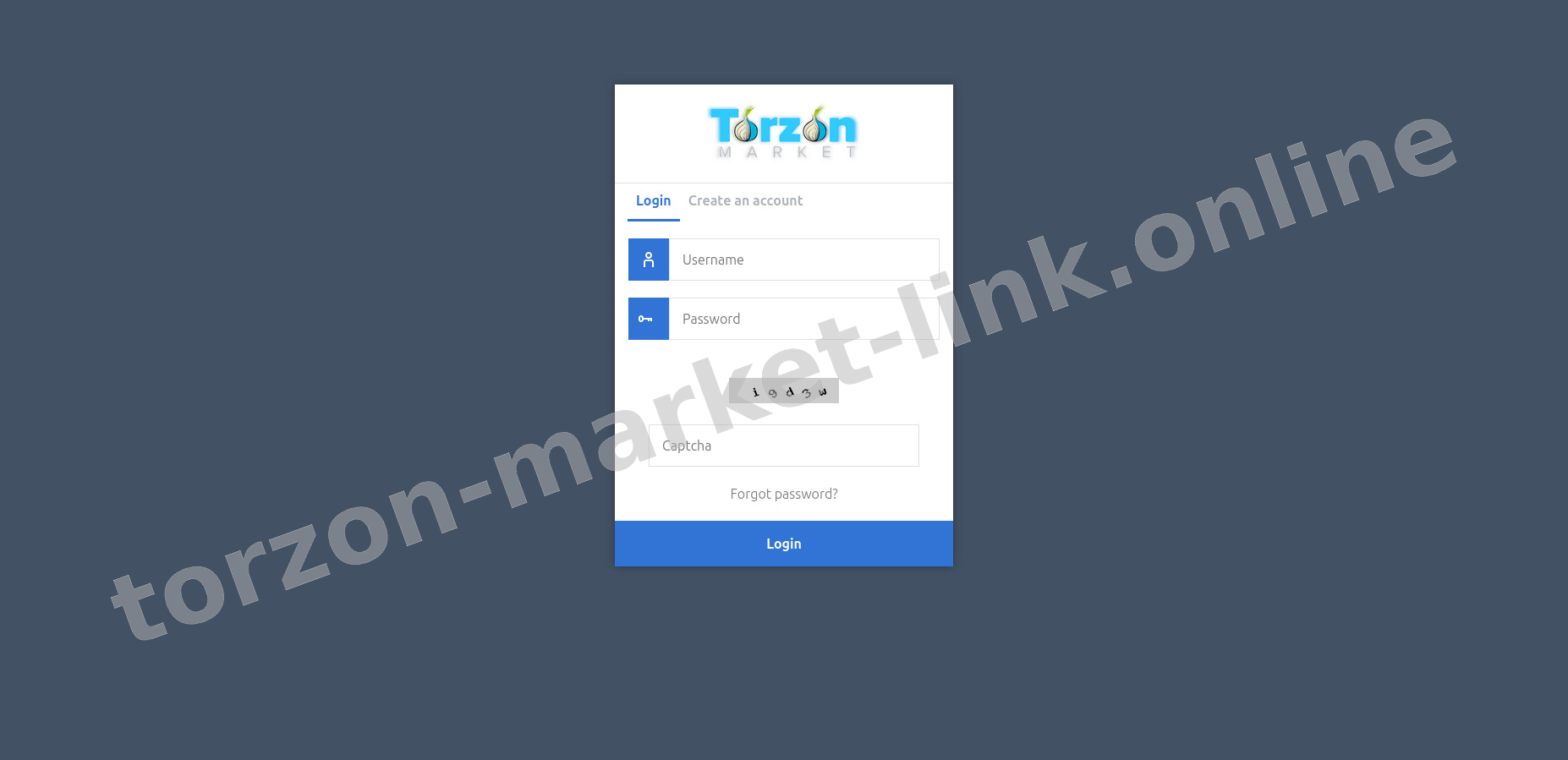 Torzon Login Interface